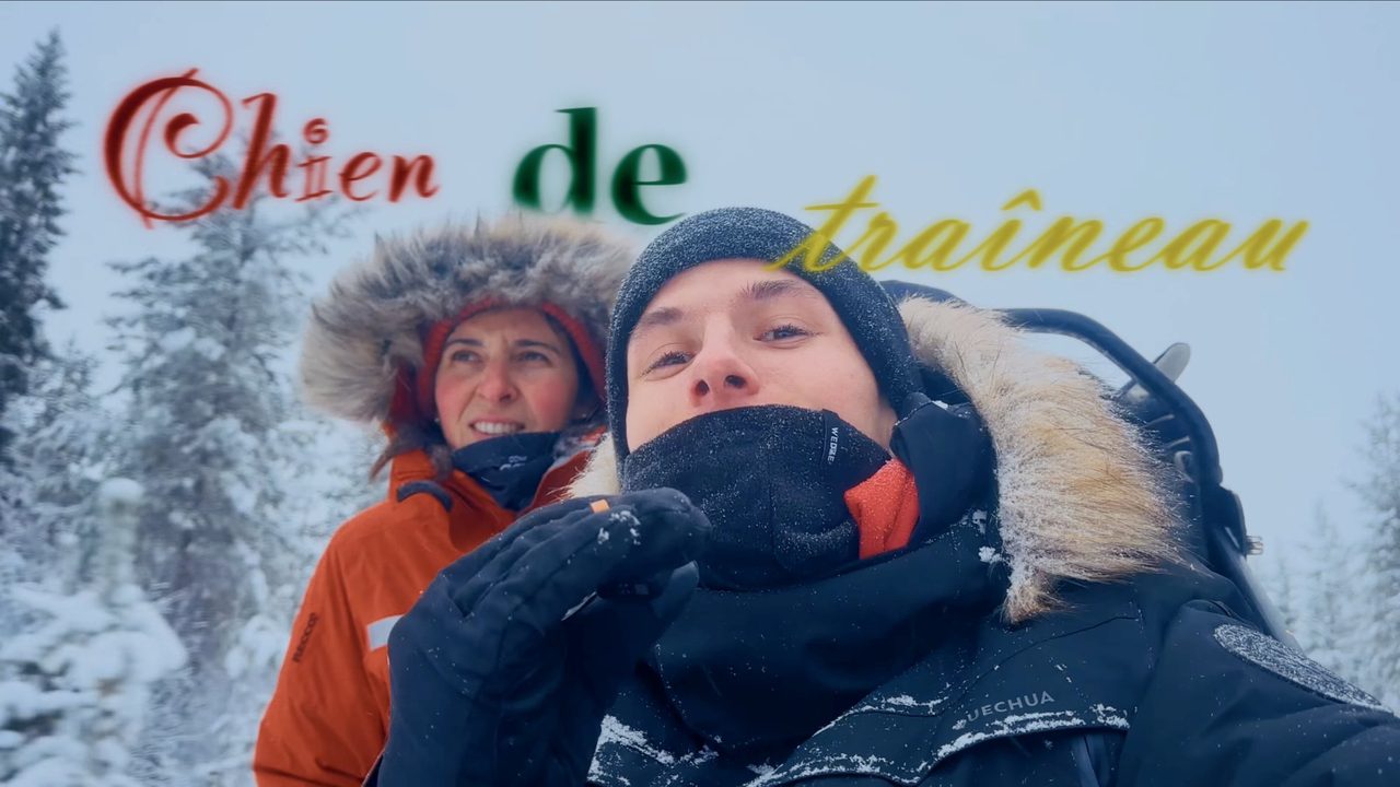 J'ai fait du Chien de Traîneau en Laponie — Royal Canin